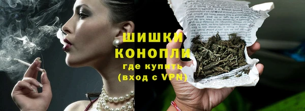 шишки Заволжск