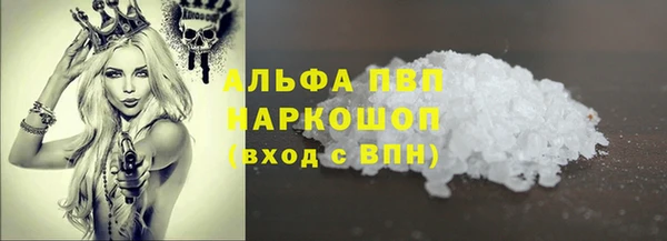 шишки Заволжск
