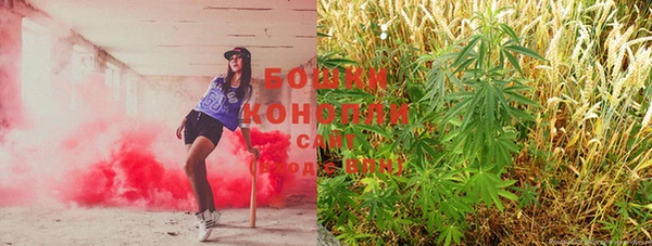 шишки Заволжск