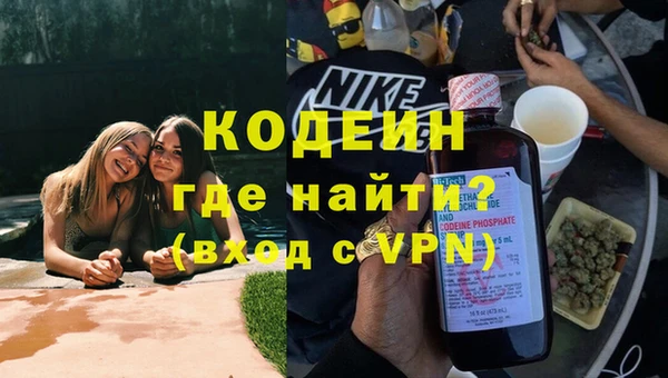 шишки Заволжск