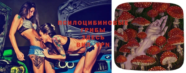 шишки Заволжск
