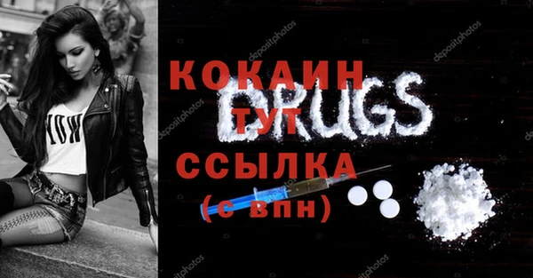 шишки Заволжск