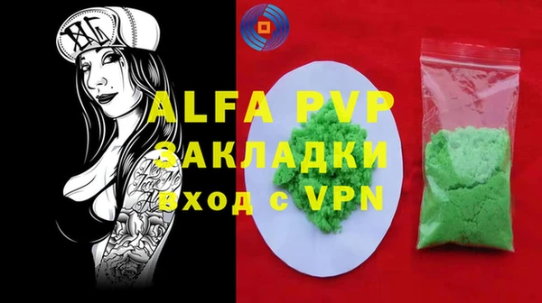 шишки Заволжск