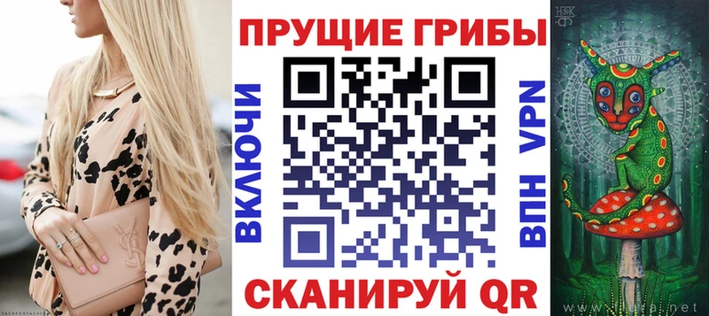 Псилоцибиновые грибы мицелий Великий Устюг